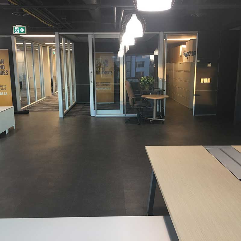 Recent work photo 5