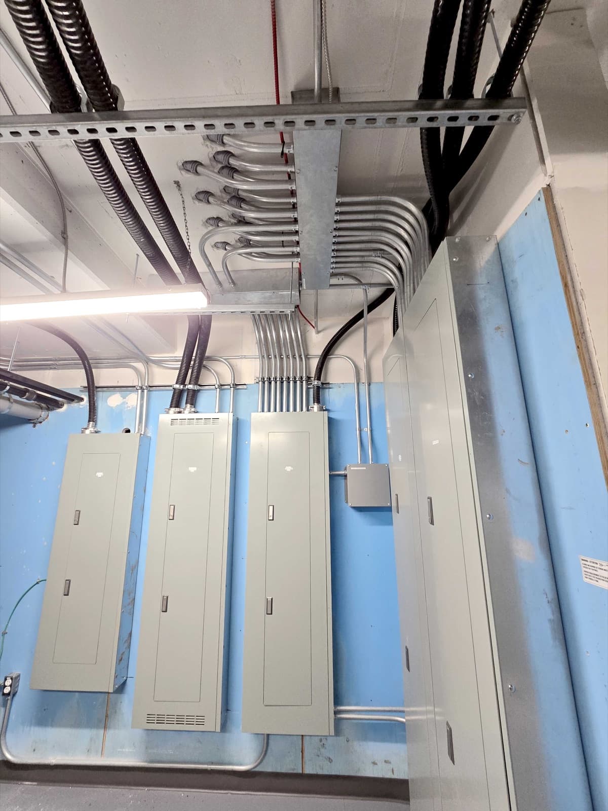 Recent work photo 11